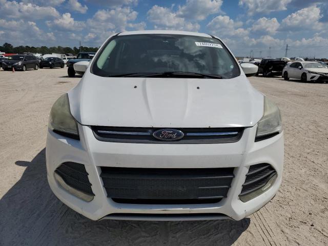 Photo 5 from auction – 2014 FORD ESCAPE SE with VIN 1FMCU0GXXEUB05581