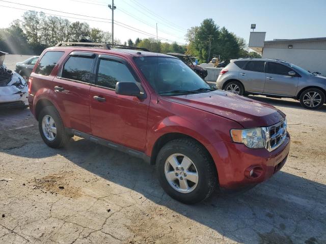 Photo 4 from auction – 2009 FORD ESCAPE XLT with VIN 1FMCU03769KA17635
