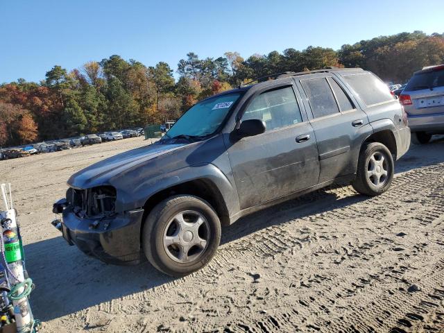 CHEVROLET TRAILBLAZE 2006 with VIN 1GNDT13S162304504 - Photo from auction