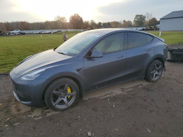 TESLA MODEL Y 2023 with VIN 7SAYGDEEXPA053777 - Photo from auction