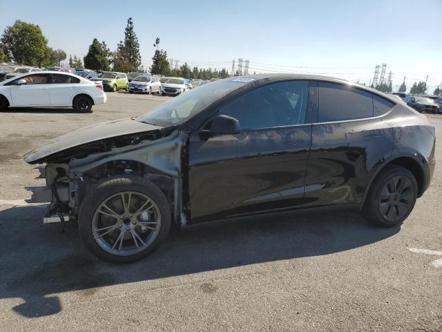 TESLA MODEL Y 2024 with VIN 7SAYGDED9RF177505 - Photo from auction