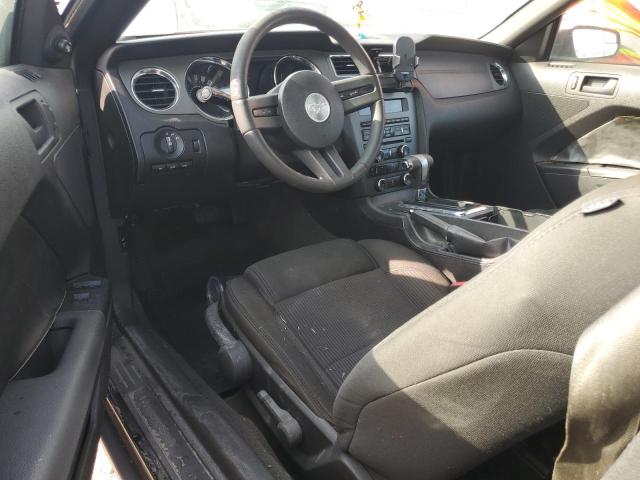 Photo 8 from auction – 2011 FORD MUSTANG with VIN 1ZVBP8EM9B5115794