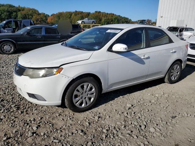 KIA FORTE EX 2010 with VIN KNAFU4A2XA5093911 - Photo from auction