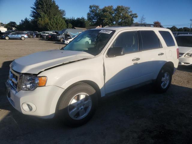 FORD ESCAPE XLT 2011 with VIN 1FMCU0DG3BKC71565 - Photo from auction