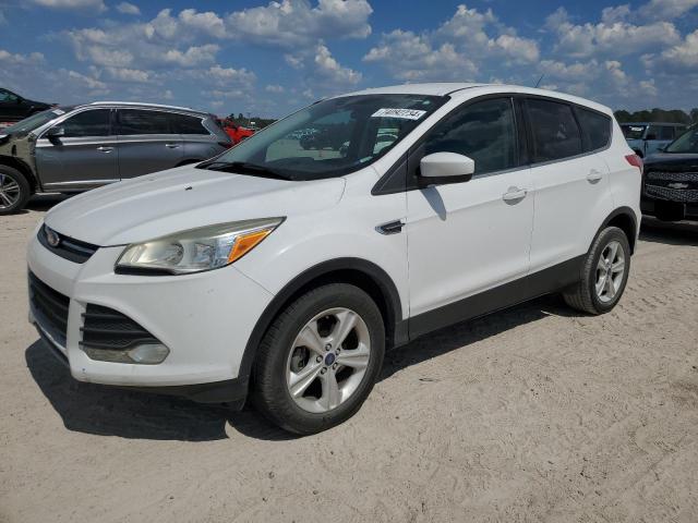 FORD ESCAPE SE 2014 with VIN 1FMCU0GXXEUB05581 - Photo from auction