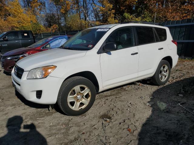 TOYOTA RAV4 2012 with VIN 2T3BF4DV2CW196592 - Photo from auction