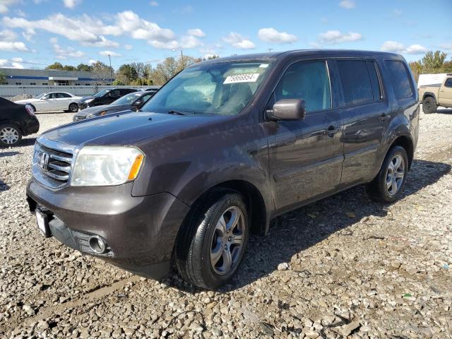 HONDA PILOT EX 2013 with VIN 5FNYF4H48DB020343 - Photo from auction