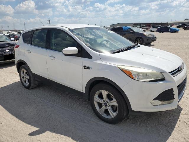 Photo 4 from auction – 2014 FORD ESCAPE SE with VIN 1FMCU0GXXEUB05581