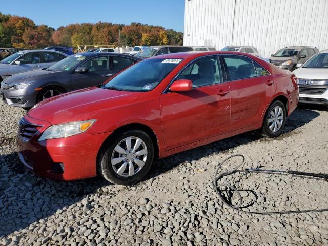 TOYOTA CAMRY BASE 2010 with VIN 4T1BF3EK6AU518865 - Photo from auction