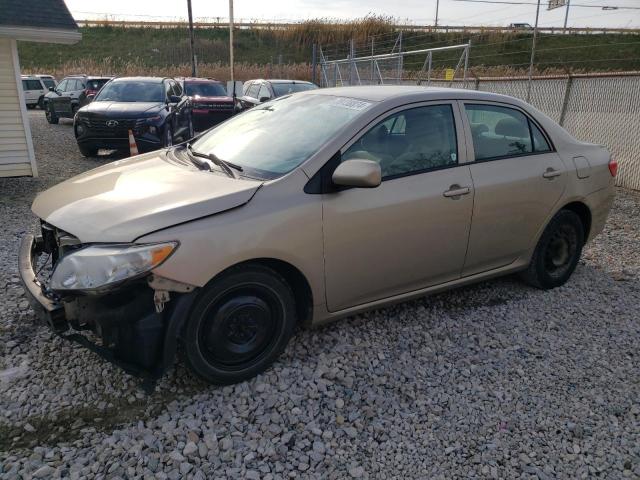 TOYOTA COROLLA BA 2010 with VIN 2T1BU4EE4AC521982 - Photo from auction
