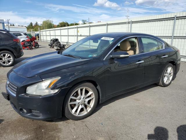 NISSAN MAXIMA S 2009 with VIN 1N4AA51EX9C830348 - Photo from auction