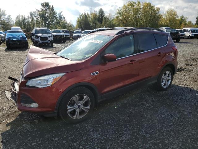 Photo 1 from auction – 2014 FORD ESCAPE SE with VIN 1FMCU9GX5EUD42693