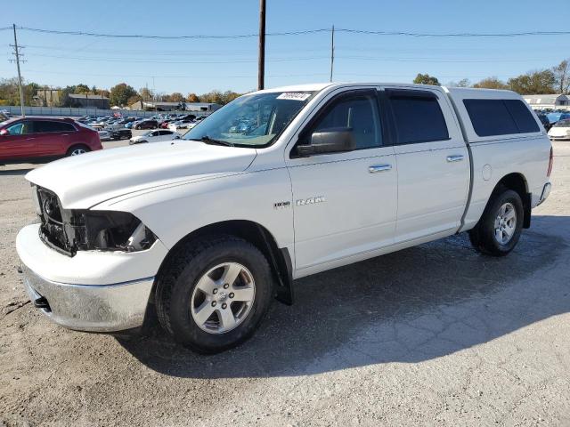 DODGE RAM 1500 2010 with VIN 1D7RB1CT1AS159263 - Photo from auction