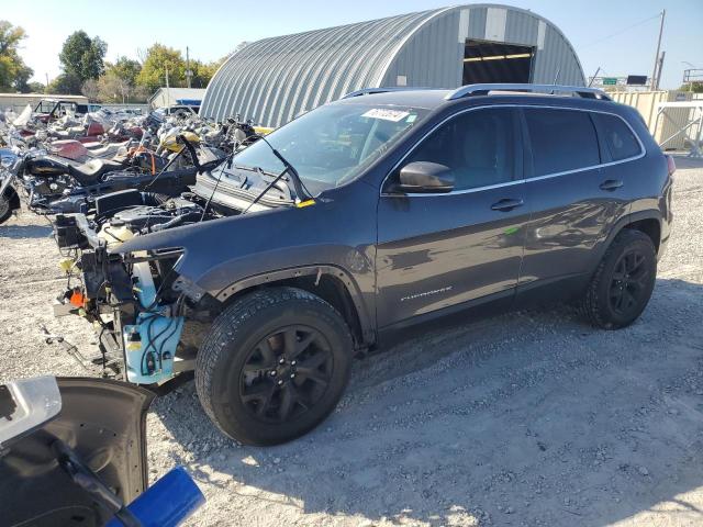 JEEP CHEROKEE L 2019 with VIN 1C4PJMDX7KD359481 - Photo from auction