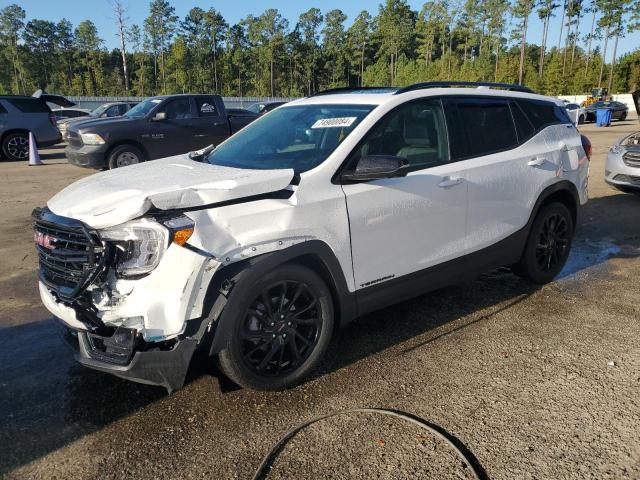 GMC TERRAIN SL 2024 with VIN 3GKALPEG9RL342173 - Photo from auction