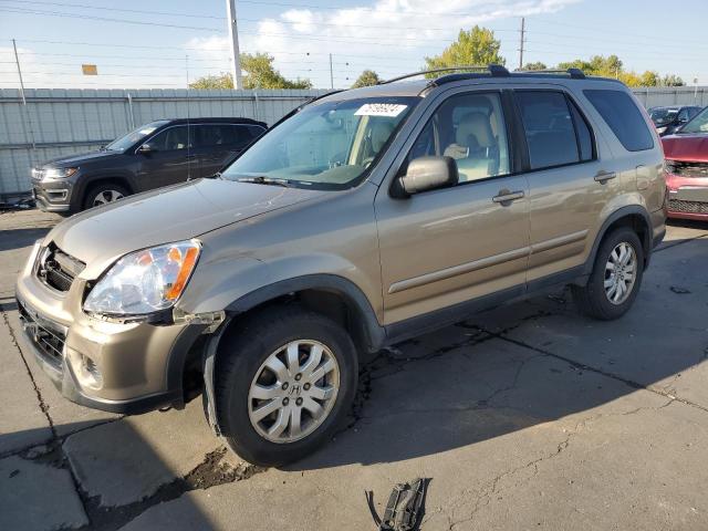 Photo 1 from auction – 2006 HONDA CR-V SE with VIN JHLRD78976C025401
