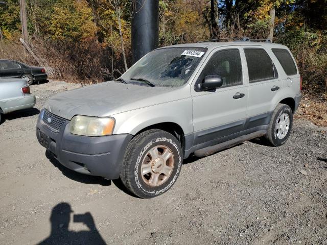 Photo 1 from auction – 2004 FORD ESCAPE XLT with VIN 1FMCU93134KA87411