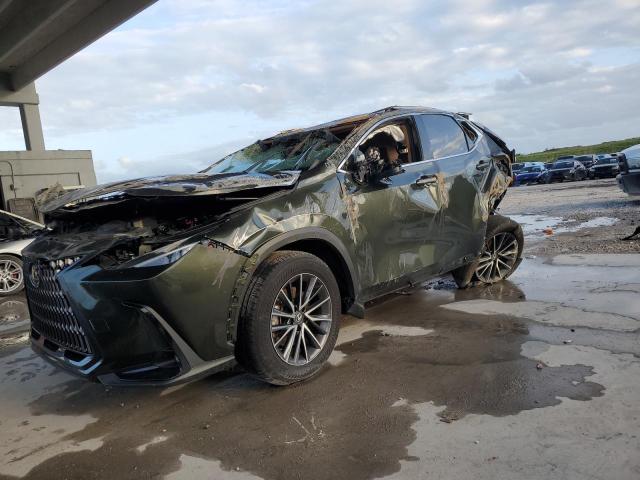 LEXUS NX 250 2023 with VIN 2T2ADCAZ7PC005036 - Photo from auction