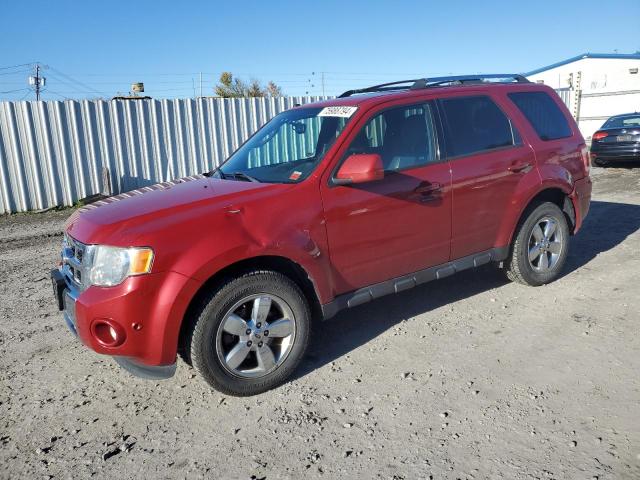 FORD ESCAPE LIM 2011 with VIN 1FMCU9EG9BKB00824 - Photo from auction