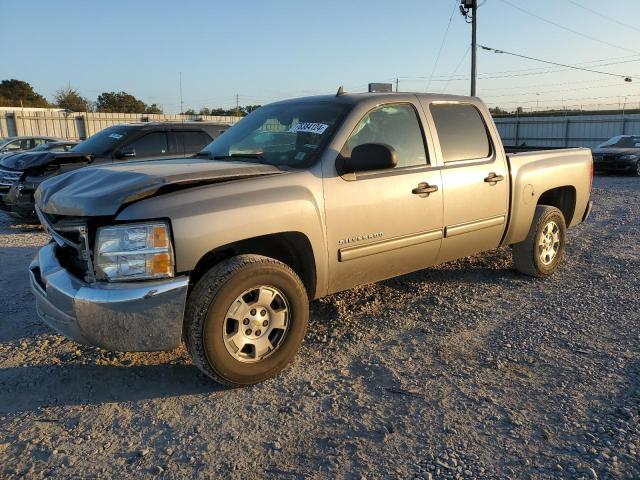 CHEVROLET SILVERADO 2013 with VIN 3GCPCSE04DG182863 - Photo from auction