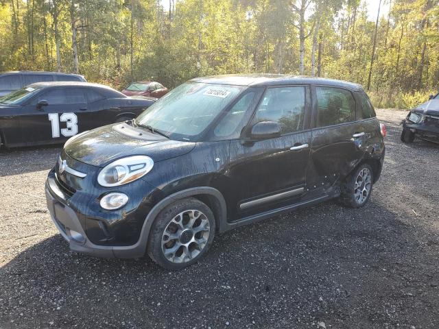FIAT 500L TREKK 2014 with VIN ZFBCFADH5EZ024494 - Photo from auction