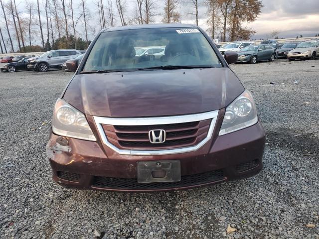 Photo 5 from auction – 2009 HONDA ODYSSEY EX with VIN 5FNRL38719B403517