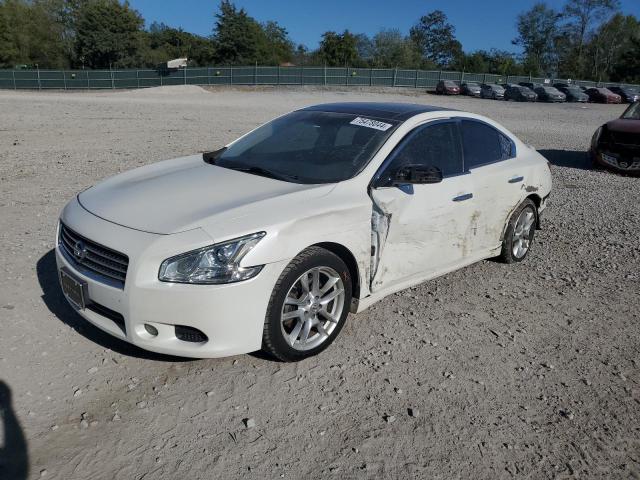 NISSAN MAXIMA S 2011 with VIN 1N4AA5AP1BC858370 - Photo from auction