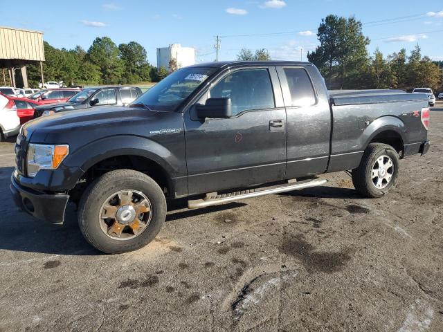 FORD F150 SUPER 2010 with VIN 1FTEX1EWXAFD22129 - Photo from auction