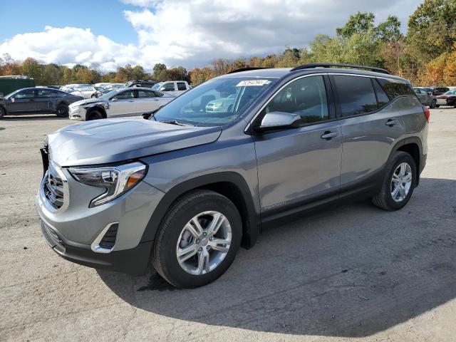 GMC TERRAIN SL 2020 with VIN 3GKALMEV2LL289286 - Photo from auction