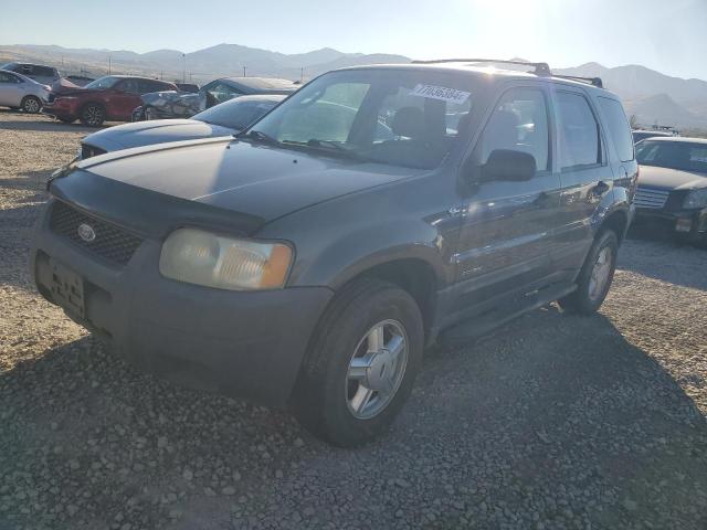 FORD ESCAPE 2002 with VIN 1FMYU021X2KC77142 - Photo from auction
