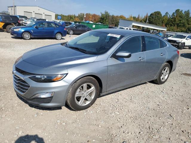 CHEVROLET MALIBU LS 2024 with VIN 1G1ZB5ST7RF141317 - Photo from auction