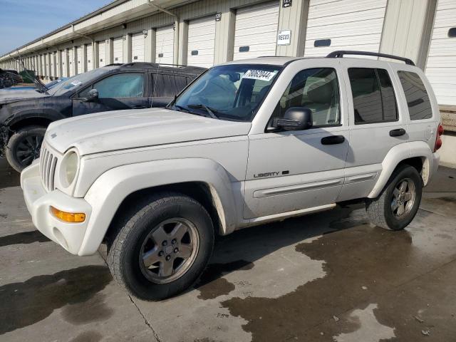 JEEP LIBERTY LI 2003 with VIN 1J4GL58K63W501060 - Photo from auction