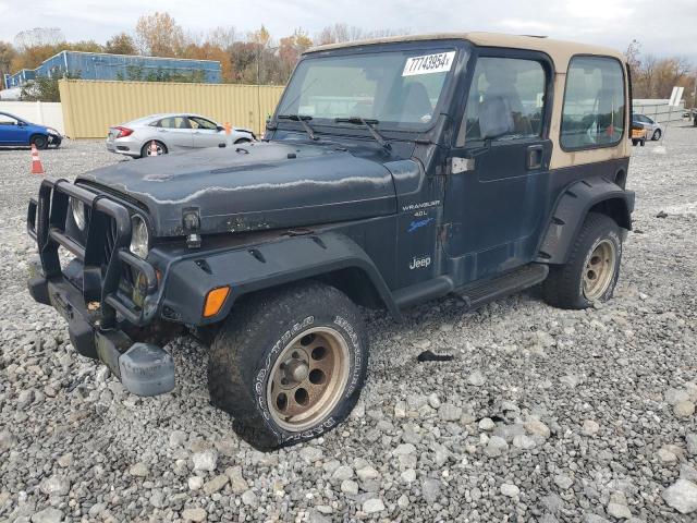 Photo 1 from auction – 1998 JEEP WRANGLER / with VIN 1J4FY19S3WP705057