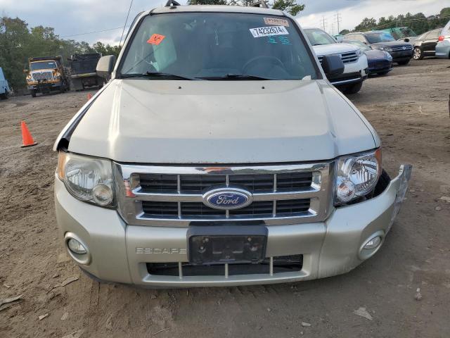Photo 5 from auction – 2010 FORD ESCAPE XLT with VIN 1FMCU9D79AKD24076