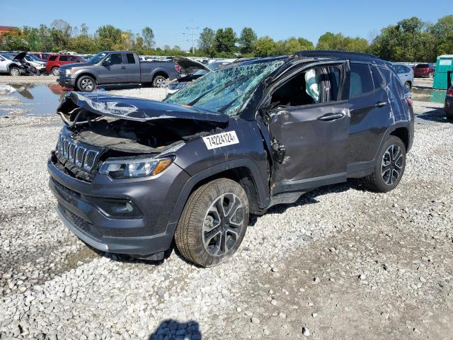 JEEP COMPASS LI 2023 with VIN 3C4NJDCN7PT544915 - Photo from auction