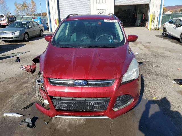Photo 5 from auction – 2014 FORD ESCAPE SE with VIN 1FMCU0GX9EUA10199