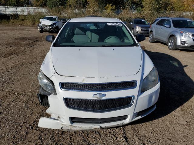 Photo 5 from auction – 2011 CHEVROLET MALIBU LS with VIN 1G1ZB5E16BF302434