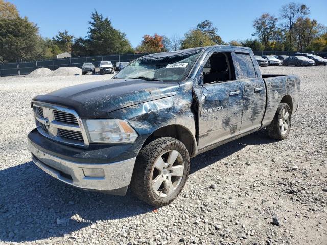 DODGE RAM 1500 2011 with VIN 1D7RV1GT4BS549020 - Photo from auction