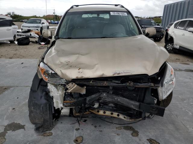 Photo 5 from auction – 2007 TOYOTA RAV4 with VIN JTMBK33V475032622