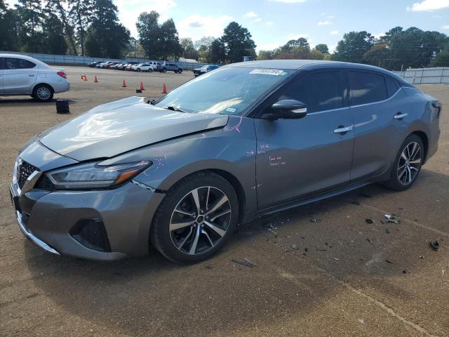 NISSAN MAXIMA SV 2021 with VIN 1N4AA6CV4MC503231 - Photo from auction