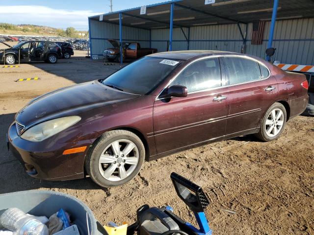 LEXUS ES 330 2006 with VIN JTHBA30G265167054 - Photo from auction