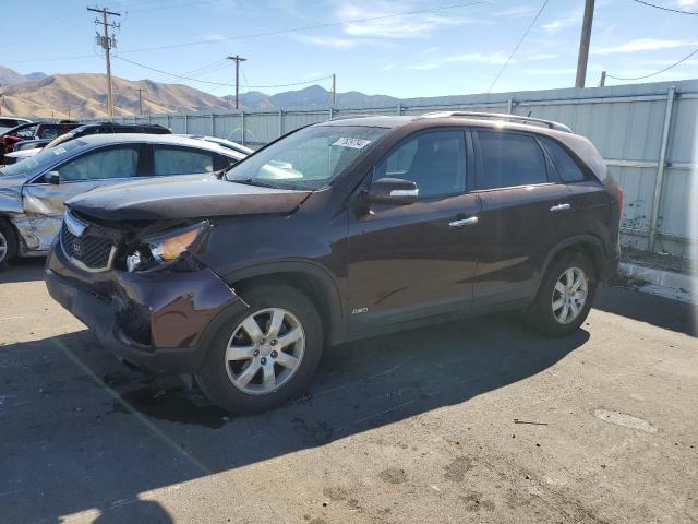 KIA SORENTO LX 2013 with VIN 5XYKTDA25DG309874 - Photo from auction