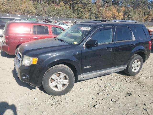 FORD ESCAPE HYB 2008 with VIN 1FMCU59H88KC40612 - Photo from auction