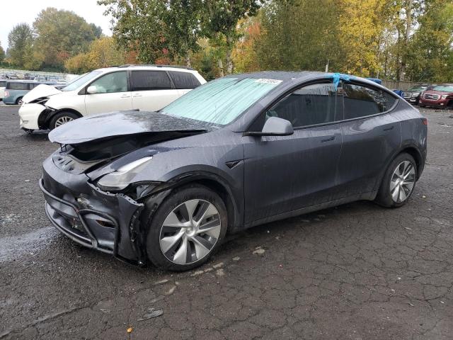 TESLA MODEL Y 2023 with VIN 7SAYGDEE7PF809939 - Photo from auction