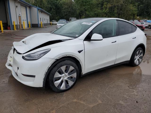TESLA MODEL Y 2020 with VIN 5YJYGDEE0LF017011 - Photo from auction