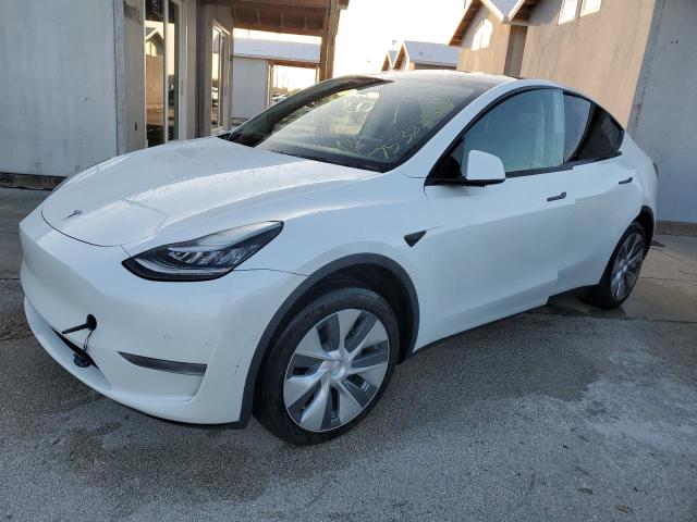 TESLA MODEL Y 2020 with VIN 5YJYGDEE0LF006817 - Photo from auction