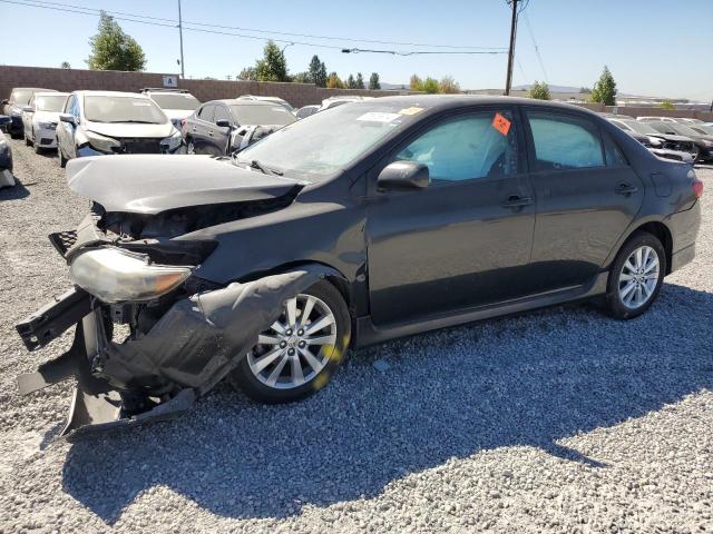 TOYOTA COROLLA BA 2010 with VIN 1NXBU4EE2AZ250869 - Photo from auction