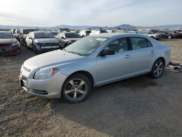 CHEVROLET MALIBU LS 2011 with VIN 1G1ZB5E18BF265175 - Photo from auction