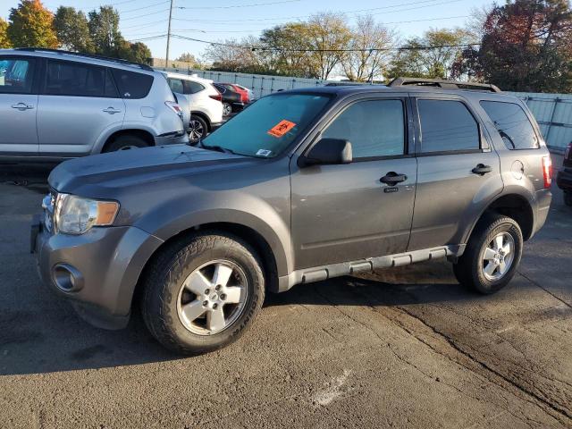 FORD ESCAPE XLT 2011 with VIN 1FMCU0D77BKB38940 - Photo from auction