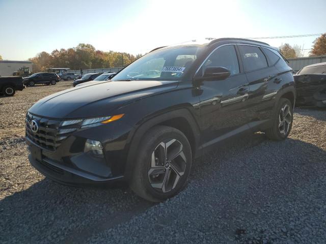 HYUNDAI TUCSON SEL 2024 with VIN 5NMJFCDE2RH378991 - Photo from auction